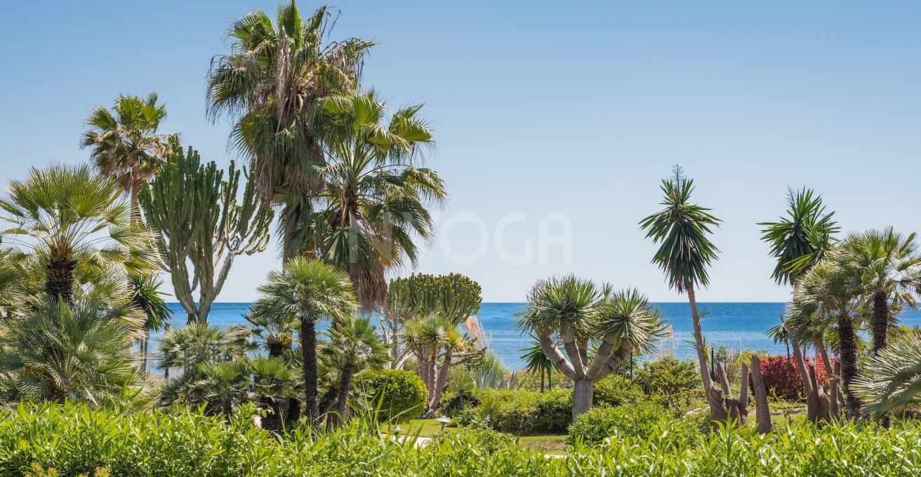 Exclusive Beachfront Apartment in Costalita