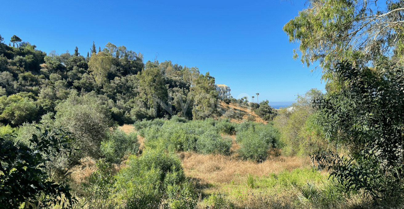 Fabulous plot with sea views