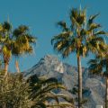 Rezension von Making It in Marbella: Immobilien-Netflix-Show mit Homerun Brokers