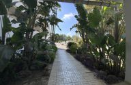 Spacious two-bedroom ground-floor apartment in Nueva Atalaya, Estepona