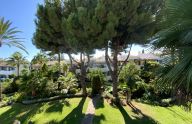 Sunny, fully renovated one-bedroom apartment in Sierra Blanca, Marbella