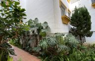Spacious renovated ground-floor apartment with three bedrooms and a garage in Xarblanca, Marbella