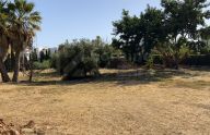 Conjunto de tres parcelas colindantes con proyecto y licencia en Guadalmina Alta, San Pedro de Alcántara.