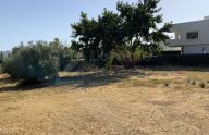Conjunto de tres parcelas colindantes con proyecto y licencia en Guadalmina Alta, San Pedro de Alcántara.