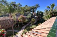 Spectacular rustic finca of 9,000 m² with a home on the New Golden Mile, Estepona