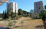 Sunny 1 bedroom apartment in Nueva Andalucía, Marbella