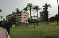 Sunny 1 bedroom apartment in Nueva Andalucía, Marbella