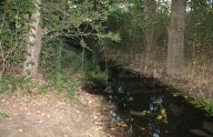 Encantadora casa de campo en Ronda con huerta de arboles frutales y piscina