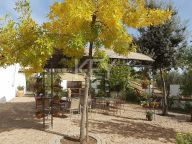 Country House for sale in Alcaracejos