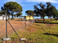 Country House for sale in Alcaracejos