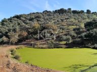 Country House for sale in Alcaracejos