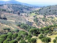 Country House for sale in Alcaracejos