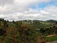 Country House for sale in Alcaracejos