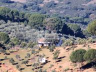Country House for sale in Alcaracejos