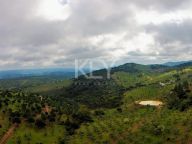 Country House for sale in Alcaracejos