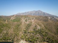 Parcela en venta en El Madroñal, Benahavis