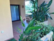 Apartamento Planta Baja en alquiler en San Pedro de Alcantara