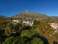 Ground Floor Apartment for sale in Marbella Golden Mile