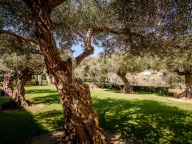 Villa en venta en San Roque Club, San Roque
