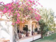 Villa for sale in Fuente del Espanto, Benahavis