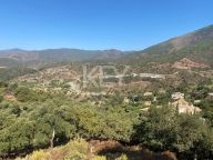 Plot for sale in La Zagaleta, Benahavis