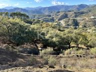 Plot for sale in La Zagaleta, Benahavis