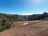 Plot for sale in Real de La Quinta, Benahavis