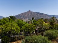 Plot for sale in Atalaya de Rio Verde, Nueva Andalucia