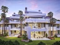 Development in Palo Alto, Ojen
