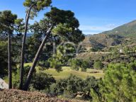 Plot for sale in La Zagaleta, Benahavis