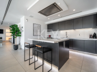 Villa for sale in Andalucia Alta, Nueva Andalucia