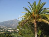 Plot for sale in Marbella