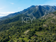 Plot for sale in Marbella