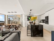 Atico Duplex en venta en Palo Alto, Ojen