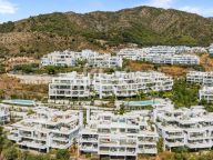 Atico Duplex en venta en Palo Alto, Ojen