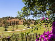 Villa for sale in Altos del Paraiso, Benahavis