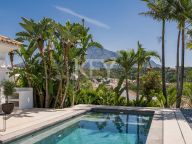 Villa for sale in Nueva Andalucia