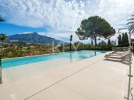 Villa for sale in Nueva Andalucia