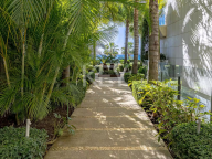 Duplex Penthouse for rent in Estepona