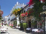 Villa for sale in Parcelas del Golf, Nueva Andalucia