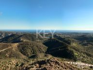 Penthouse for sale in Real de La Quinta, Benahavis