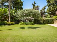 Villa for rent in Guadalmina Baja, San Pedro de Alcantara