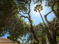 Villa for rent in Guadalmina Baja, San Pedro de Alcantara