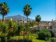 Apartamento en venta en Palacetes Los Belvederes, Nueva Andalucia