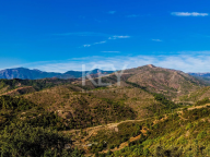 Plot for sale in Monte Mayor, Benahavis