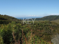 Plot for sale in Monte Mayor, Benahavis