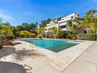 Дуплекс в аренду в Lomas del Rey, Золотая Миля