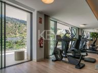 Penthouse for sale in Palo Alto, Ojen