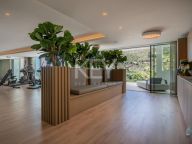Penthouse for sale in Palo Alto, Ojen