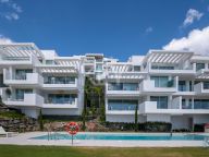 Penthouse for sale in Palo Alto, Ojen